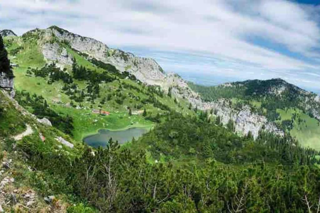 Topmodernes Studio - Sommer Im Bayerischen Inntal Brannenburg Exteriör bild