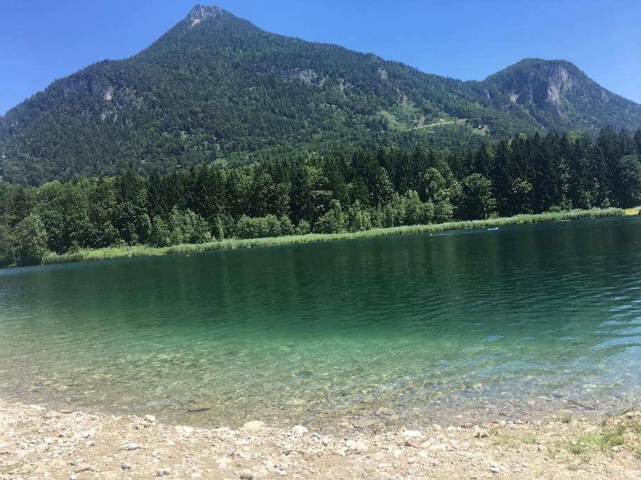 Topmodernes Studio - Sommer Im Bayerischen Inntal Brannenburg Exteriör bild